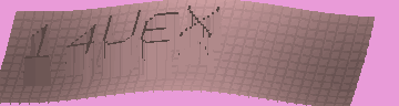 CAPTCHA 認証コード
