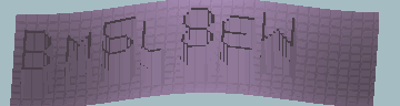 CAPTCHA 認証コード