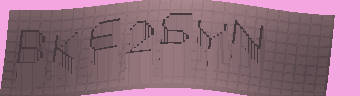 CAPTCHA 認証コード