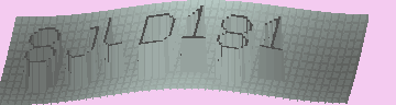 CAPTCHA 認証コード