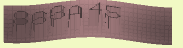 CAPTCHA 認証コード