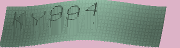 CAPTCHA 認証コード