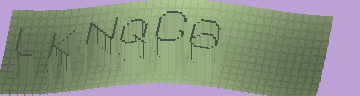 CAPTCHA 認証コード