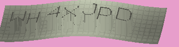 CAPTCHA 認証コード
