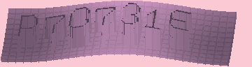 CAPTCHA 認証コード